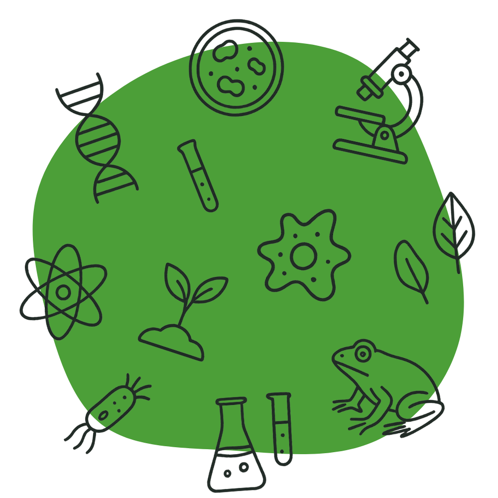 OCR A Level Biology revision