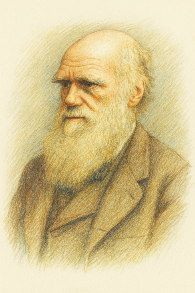 Stylised portrait of Charles Darwin - OCR A Level Biology revision