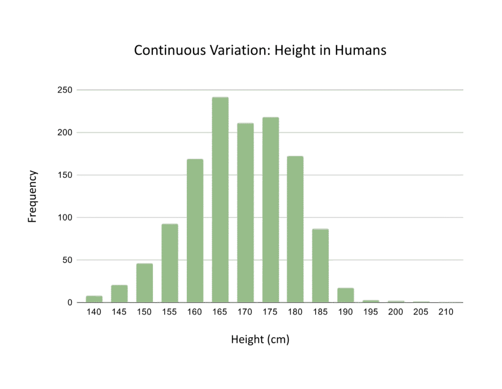 Graph of height as continuous variation in humans - OCR A Level Biology revision