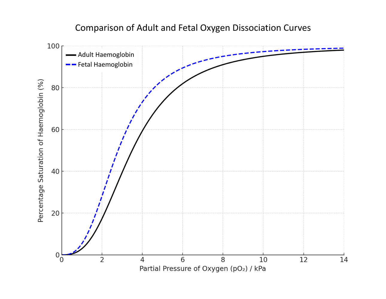 Graph comparing adult and fetal oxygen dissociation curves - OCR A Level Biology revision