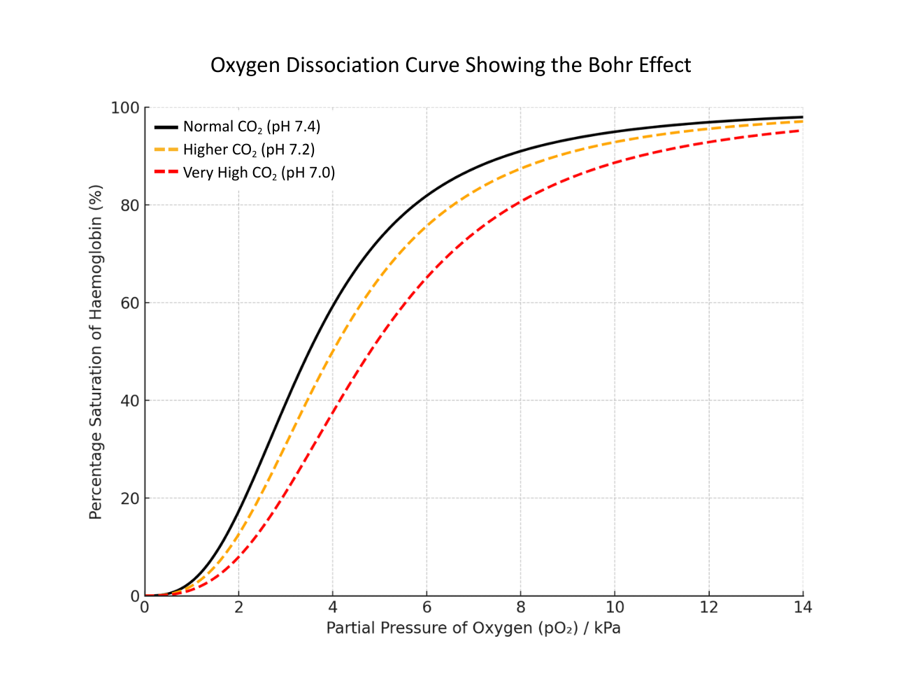 Graph showing the Bohr effect on oxygen dissociation curves with left and right shift - OCR A Level Biology revision