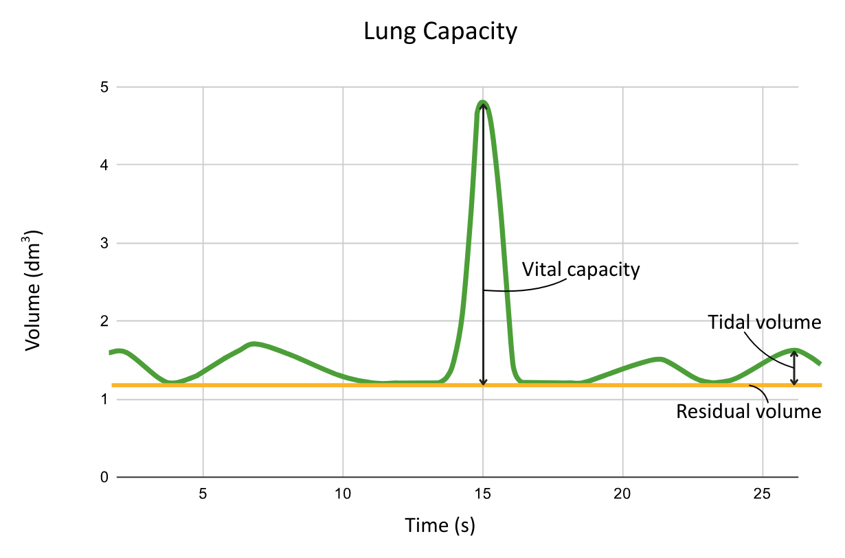 Labelled graph of lung capacity with vital capacity, tidal and residual volume - OCR A Level Biology revision