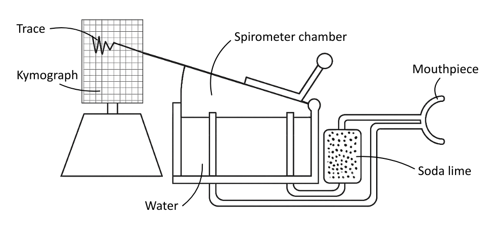 Labelled diagram of a spirometer with a kymograph - OCR A Level Biology revision