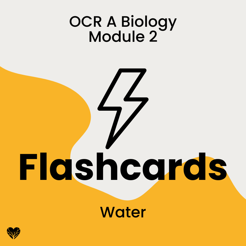 OCR A Level Biology Flashcards: Water