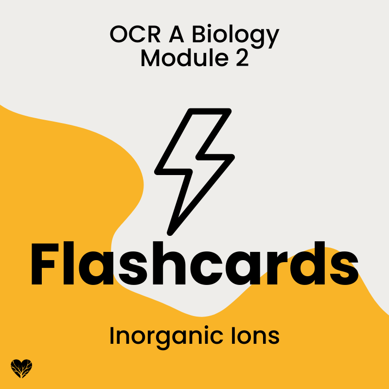 OCR A Level Biology Flashcards: Inorganic Ions