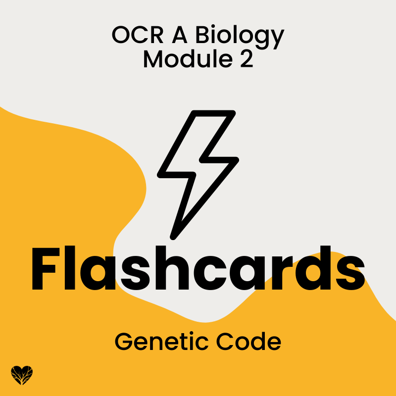 OCR A Level Biology Flashcards: Genetic Code