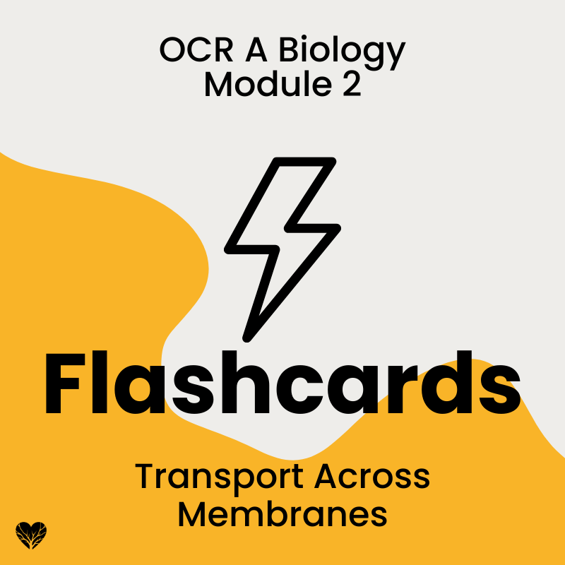 OCR A Level Biology Flashcards: Transport Across Membranes
