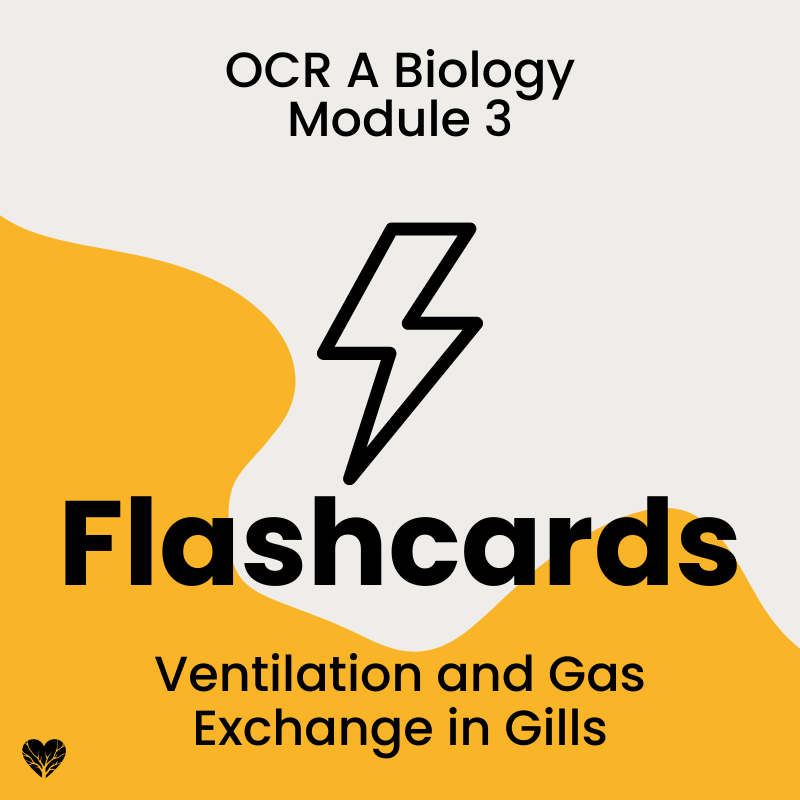 OCR A Level Biology Flashcards: Ventilation and Gas Exchange in Gills