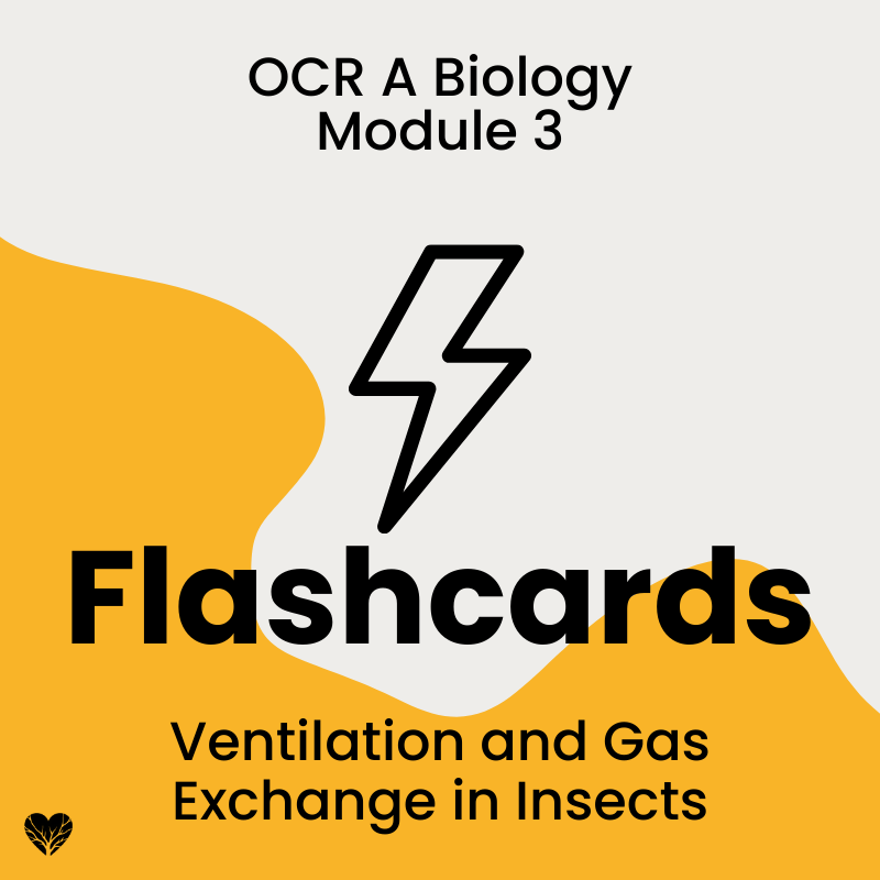 Flashcards: Ventilation and Gas Exchange in Insects Cover OCR A Level Biology Flashcards: Ventilation and Gas Exchange in Insects