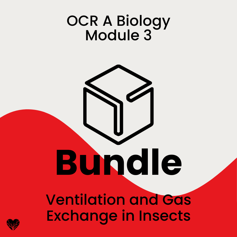 Bundle: Ventilation and Gas Exchange in Insects Cover OCR A Level Biology Ventilation and Gas Exchange in Insects Bundle