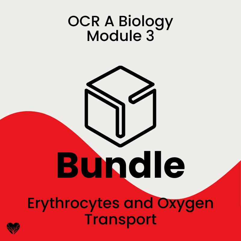 OCR A Level Biology Erythrocytes and Oxygen Transport Bundle