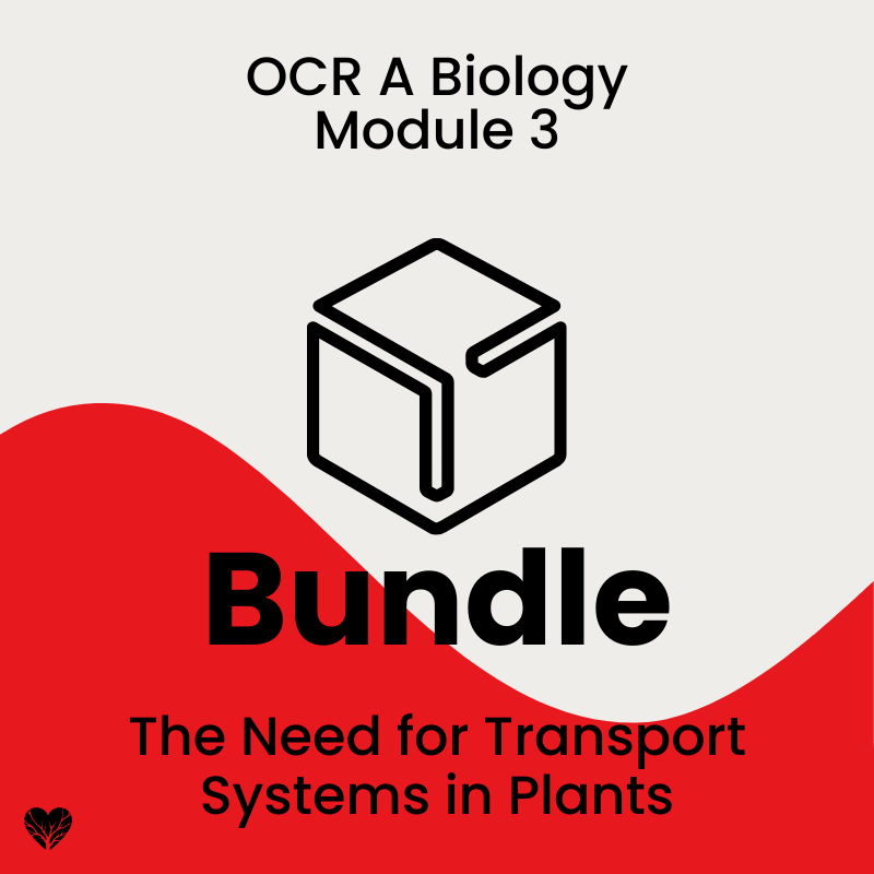 OCR A Level Biology The Need For Transport Systems in Plants Bundle