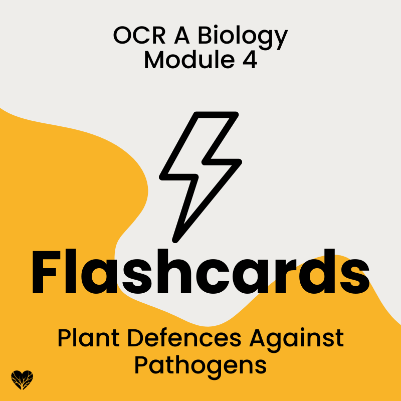 OCR A Level Biology Flashcards: Plant Defences Against Pathogens
