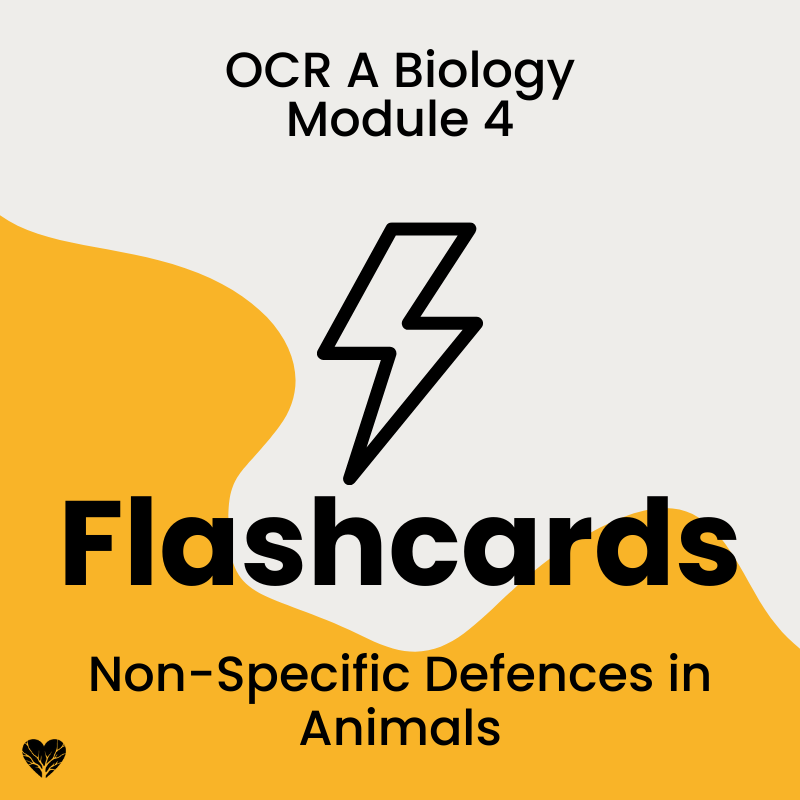 OCR A Level Biology Flashcards: Non-Specific Defences in Animals