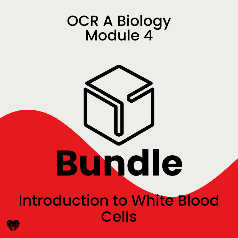 OCR A Level Biology Introduction to White Blood Cells Bundle