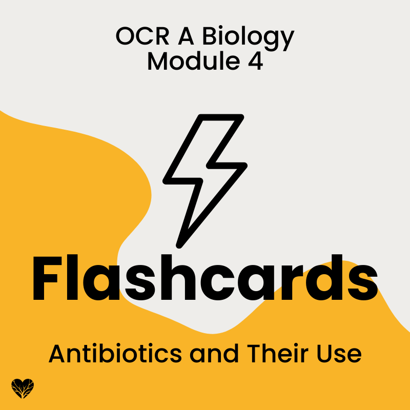 OCR A Level Biology Flashcards: Antibiotics and Their Use
