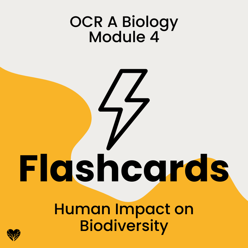 OCR A Level Biology Flashcards: Human Impact on Biodiversity