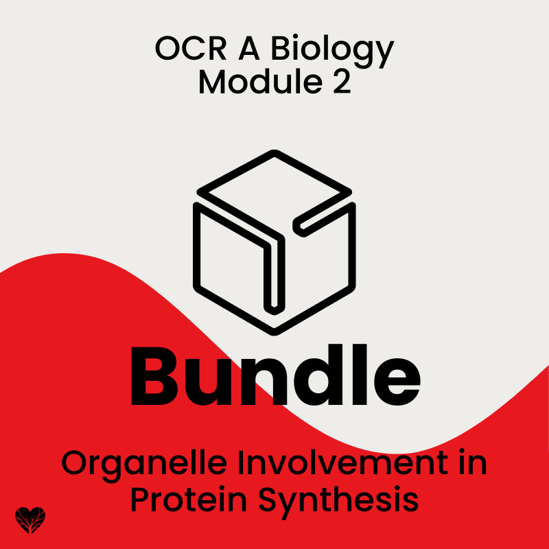 OCR A Level Biology Organelle Involvement in Protein Synthesis Bundle