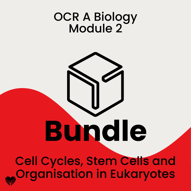 OCR A Level Biology Cell Cycles, Stem Cells and Organisation in Eukaryotes Bundle
