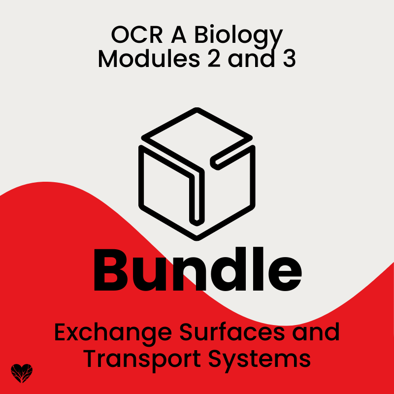 OCR A Level Biology Exchange Surfaces and Transport Systems Bundle