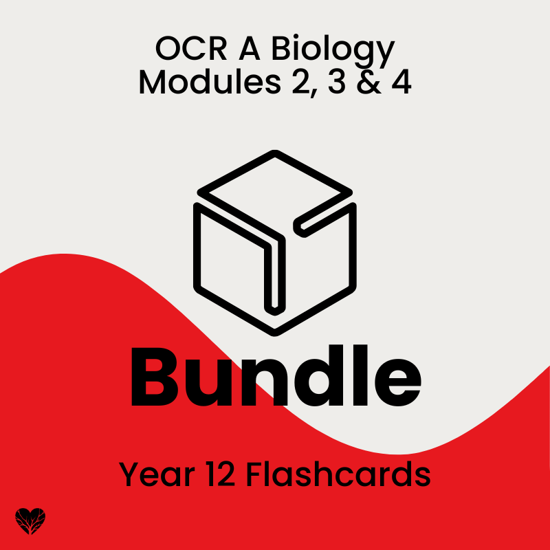 OCR A Level Biology Year 12 Flashcards Bundle