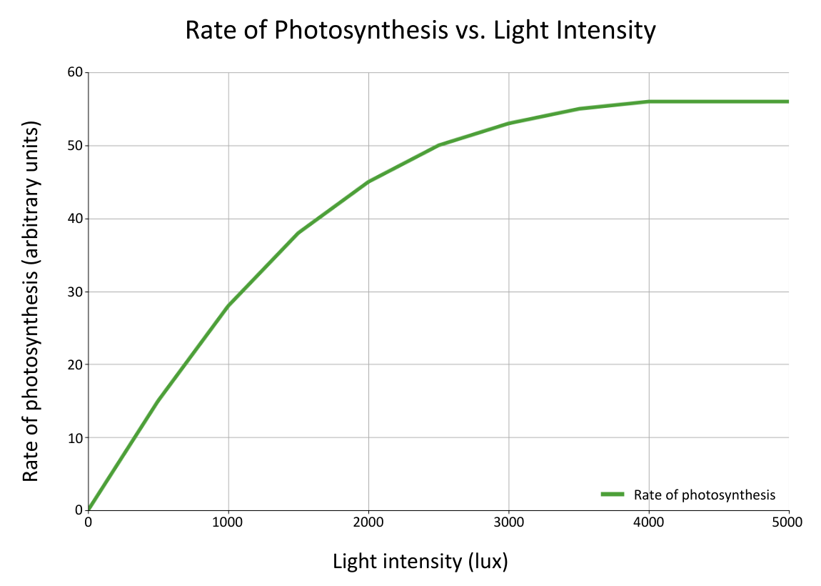 Light Intensity Graph Photosynthesis graph OCR A Level Biology