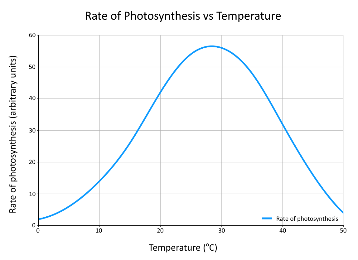Effect of Temperature on Photosynthesis graph OCR A level Biology