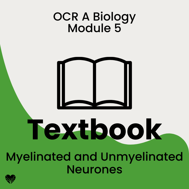 Myelinated and Unmyelinated OCR A level Biology Textbook