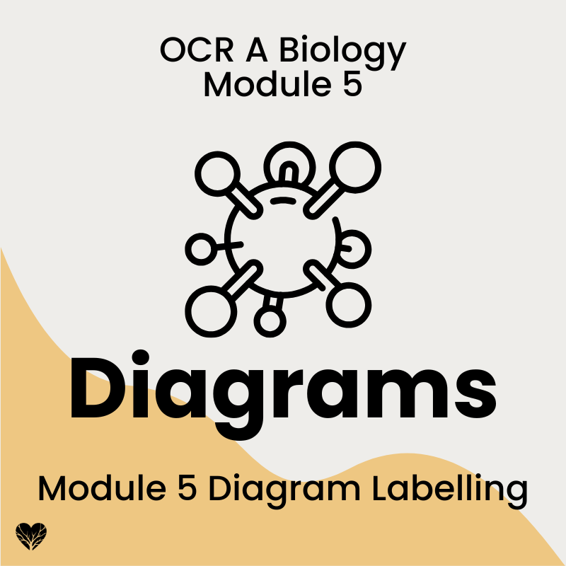 Diagrams Cover OCR A level Biology Module 5 Diagrams