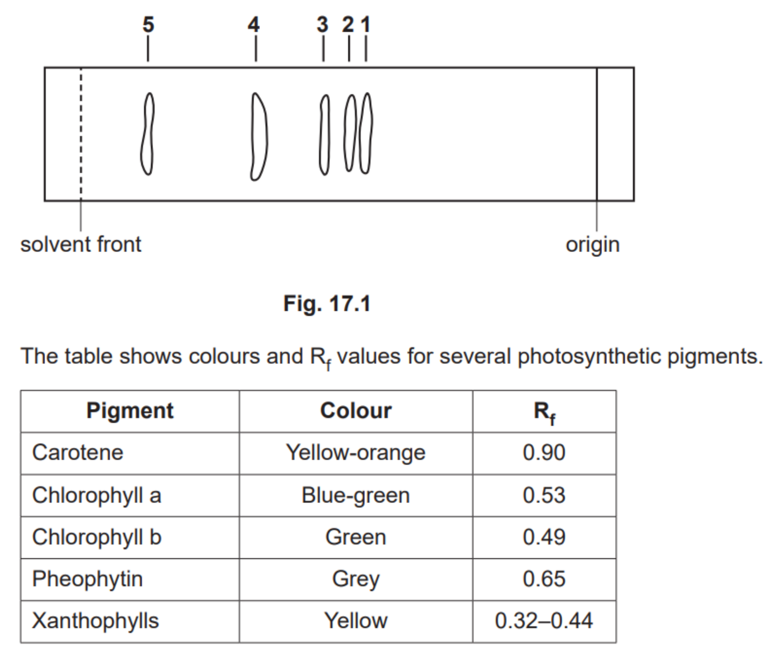 OCR A level Biology Command Words - Predict Example