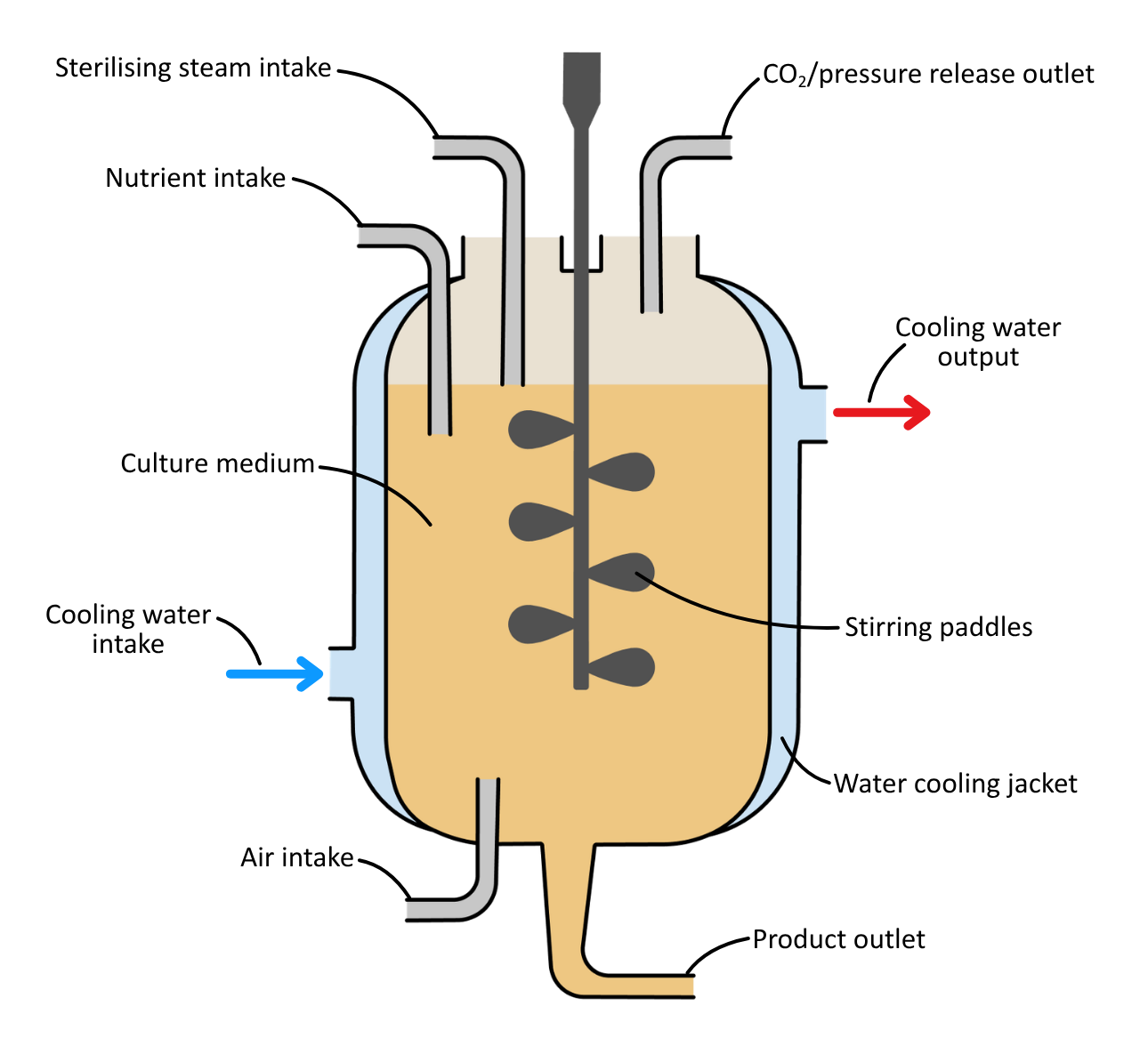 Labelled fermenter - Batch and Continuous Fermentation OCR A Level Biology revision notes