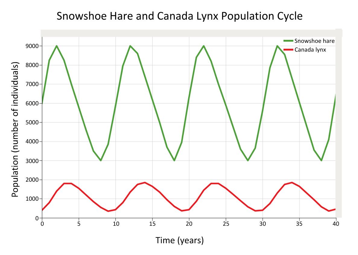Predator-Prey Cycle Graph - Interactions Between Populations OCR A Level Biology revision notes