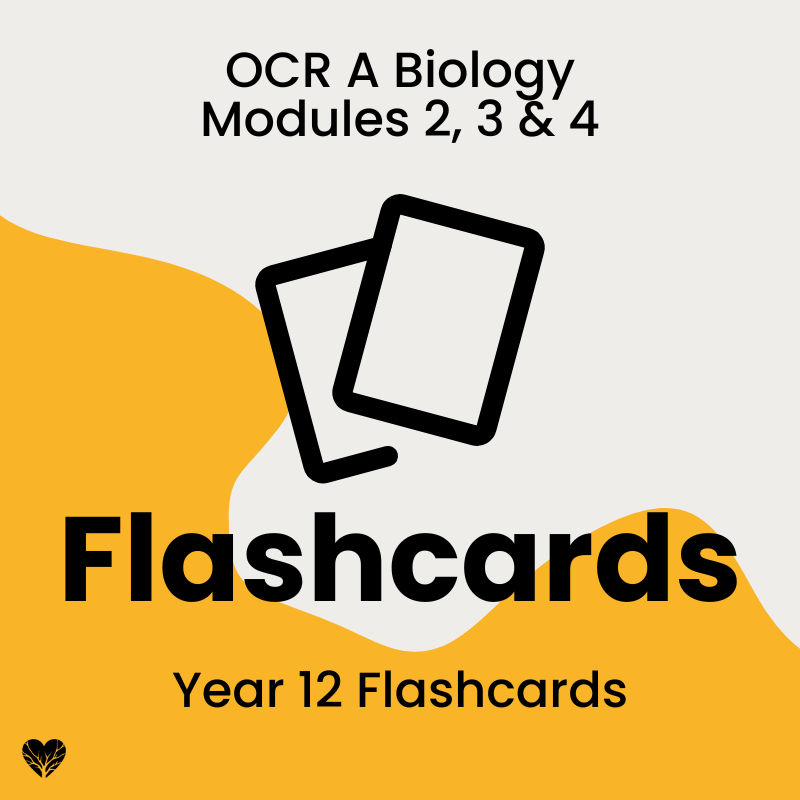Year 12 Flashcards Cover Year 12 OCR A Level Biology flashcards – 3,000+ self-marked cards across Modules 2, 3 and 4