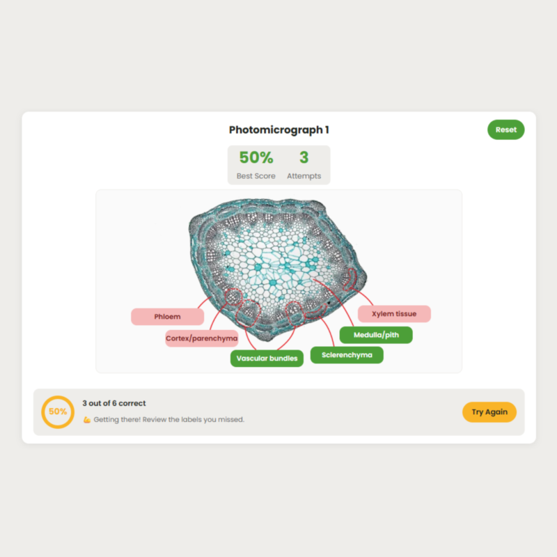 Year 12 OCR A Level Biology diagrams – labelling view with progress
