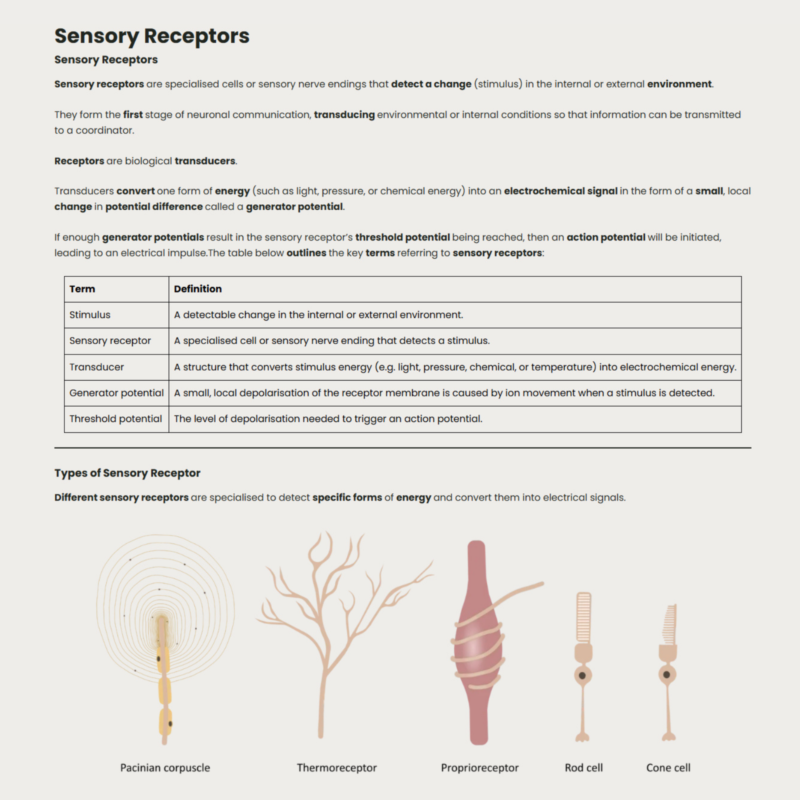 Year 13 Textbook gallery image Year 13 OCR A Biology Textbook